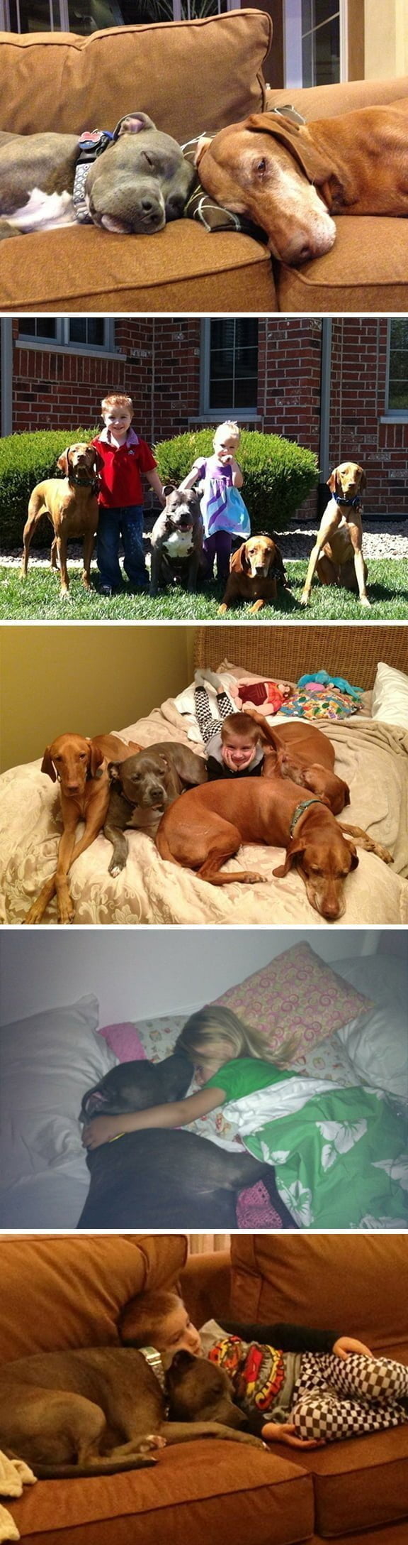 montage_jamie_family