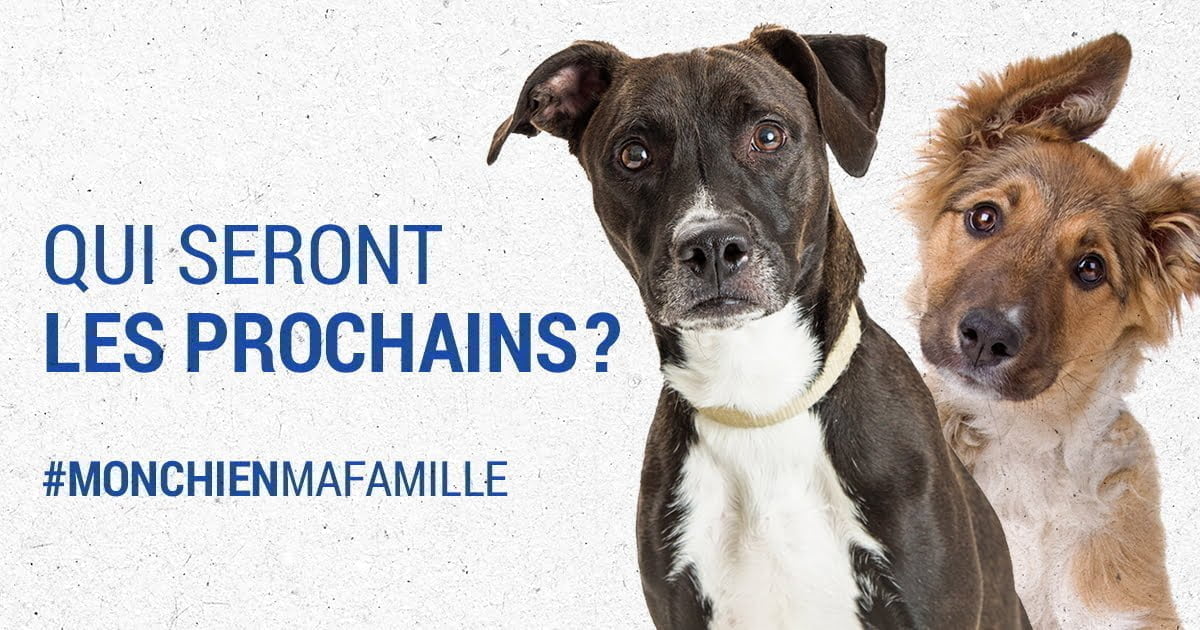 shareFB_FRA_prov_BSL