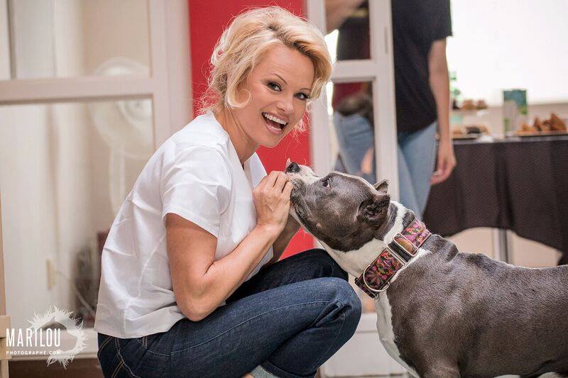 Pamela-Athena-SPCA