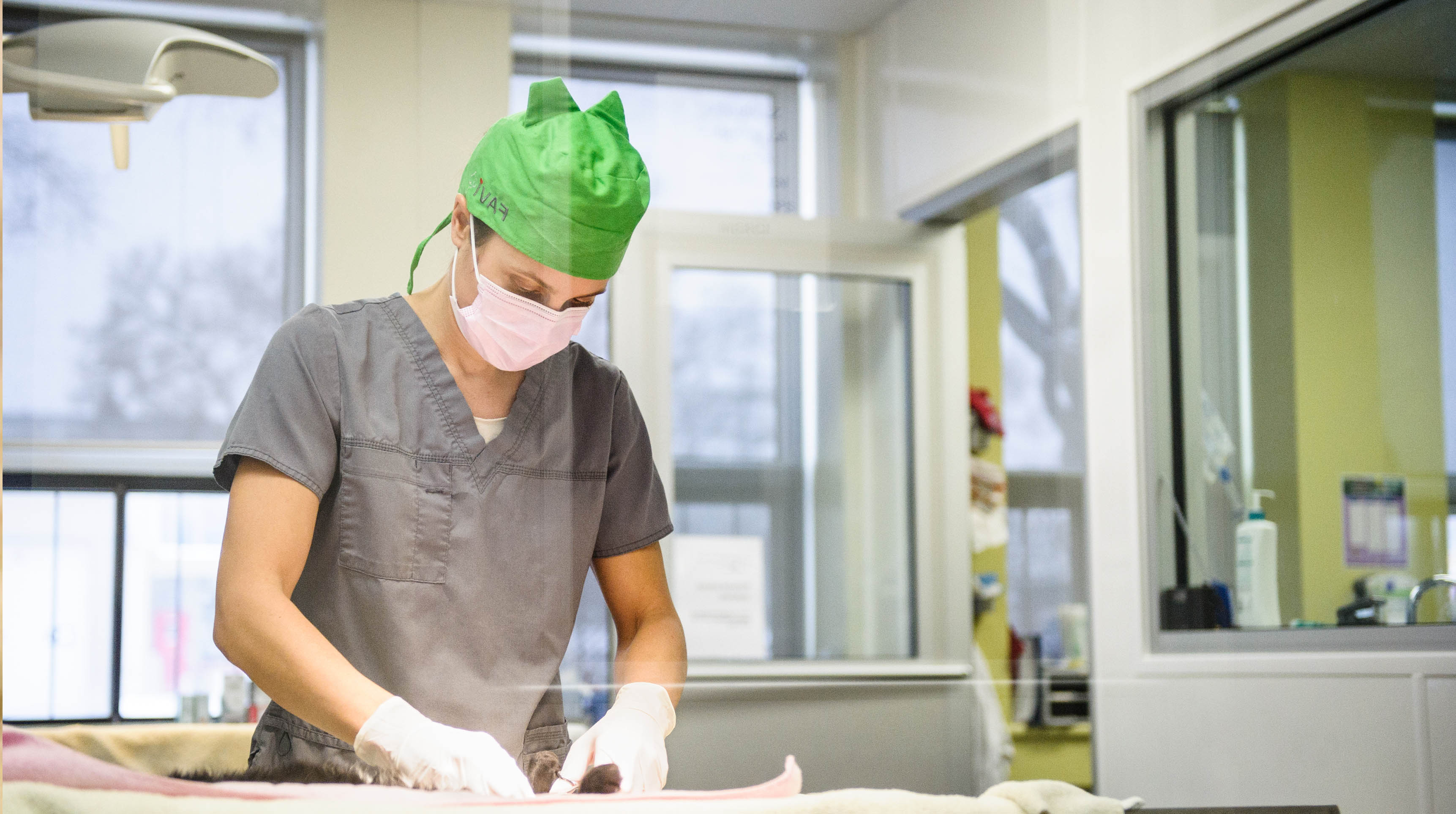 Clinique de stérilisation SPCA de Montréal