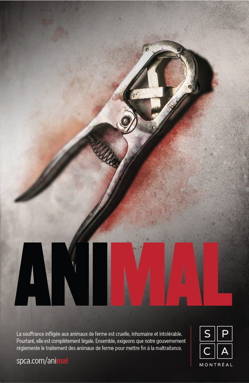 affiche_animal_v3